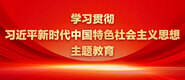 WWW,操逼Av,CO阴学习贯彻习近平新时代中国特色社会主义思想主题教育_fororder_ad-371X160(2)